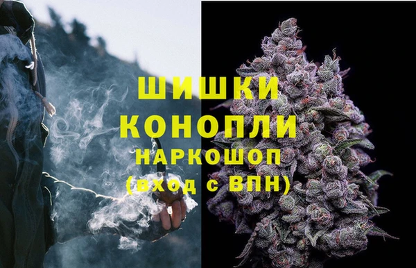 крисы Арсеньев
