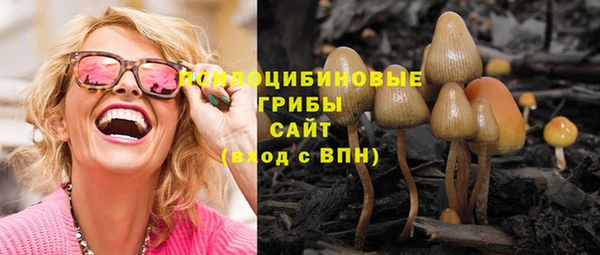 спиды Аркадак